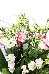 Image showing spring flowers background on white background