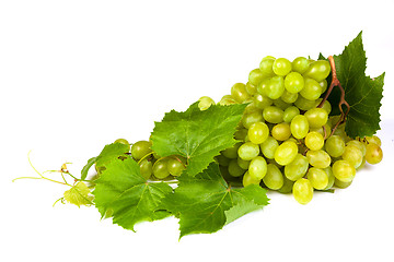 Image showing Grape