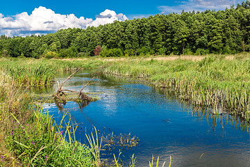 Image showing Summer landscape with river