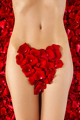 Image showing Part of the naked beautiful suntanned female body in petals of s