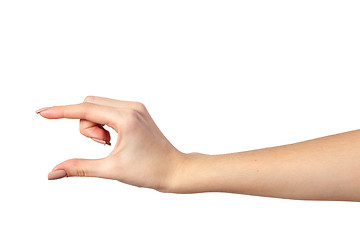 Image showing Female hand reaching for something on white