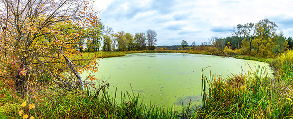 Image showing Forest lake in fall. Panorama