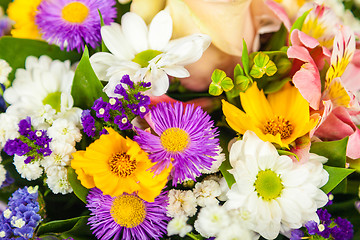 Image showing spring flowers background on white background