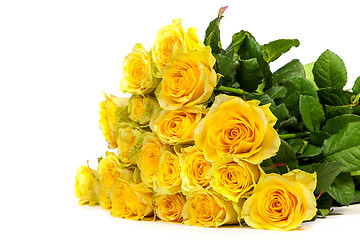 Image showing Group of fresh yellow roses