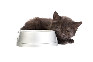 Image showing Black kitten drinks milk, on a white background