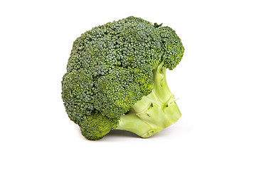 Image showing Single broccoli floret isolated on white