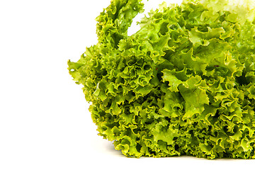 Image showing Fresh Green Lettuce isolated on white