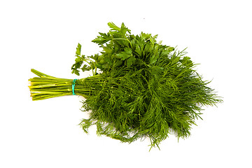 Image showing Fresh branches of green dill and Parsley tied isolated