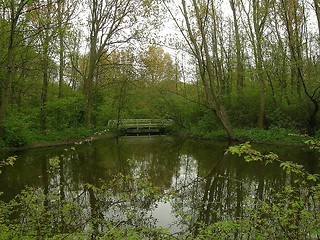 Image showing Lake view