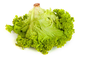 Image showing Fresh Green Lettuce isolated on white