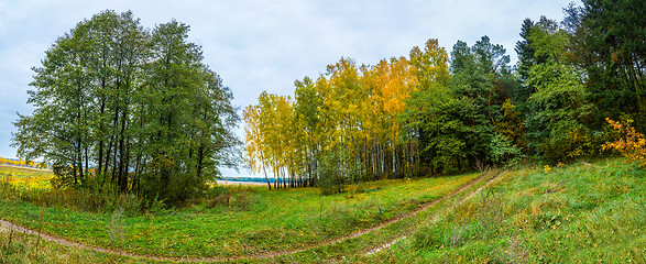 Image showing Autumn forest panorama