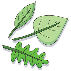 Image showing Cartoon leaf