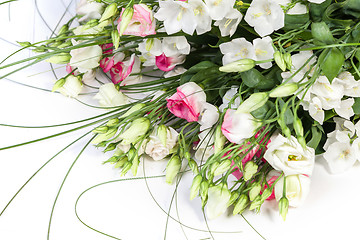 Image showing spring flowers background on white background