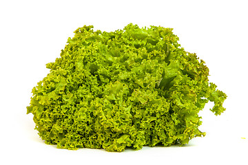 Image showing Fresh Green Lettuce isolated on white