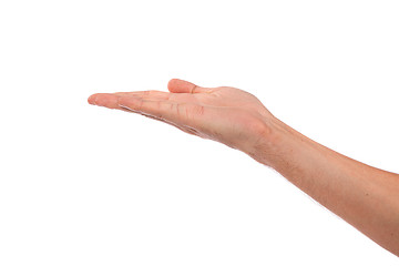 Image showing Open palm hand gesture of male hand