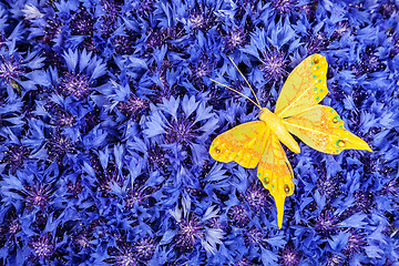 Image showing Spring blue cornflower with yellow butterfly