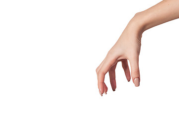 Image showing Female hand reaching for something on white