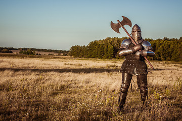 Image showing Medieval knight