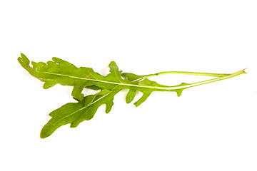 Image showing Arugula/rucola  fresh heap leaf on white