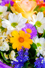 Image showing spring flowers background on white background