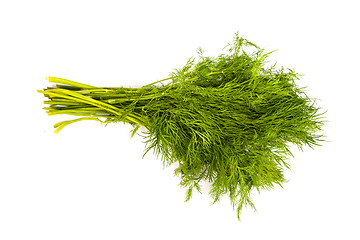 Image showing Fresh branches of green dill isolated