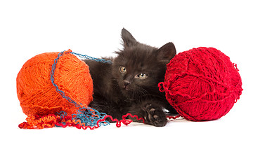 Image showing Black kitten playing with a red ball of yarn on white background