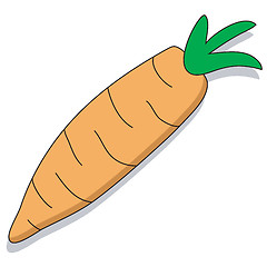 Image showing Carrot