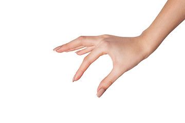 Image showing Female hand reaching for something on white