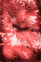 Image showing Grunge background