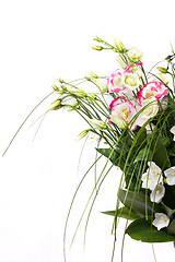 Image showing spring flowers background on white background