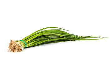 Image showing Fresh scallions isolated on white