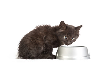 Image showing Black kitten drinks milk, on a white background