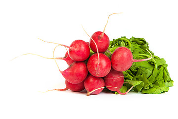 Image showing A bunch of fresh radishes isolated on white