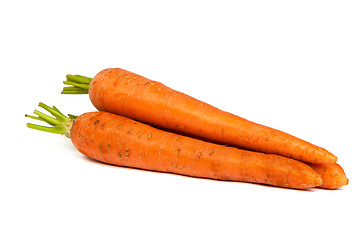 Image showing Bunch of fresh carrot isolated on white