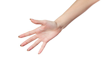 Image showing Hand gesture of Female isolated on white