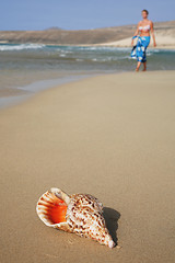 Image showing Conch and Woman