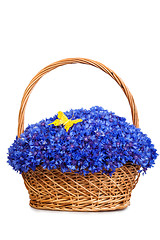 Image showing Beautiful blue cornflowers in a basket