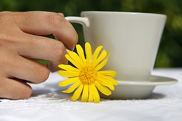 Image showing Coffee and Flower