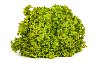 Image showing Fresh Green Lettuce isolated on white