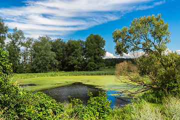 Image showing Panorama of summer morning lake