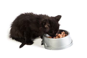 Image showing Black kitten eating cat food on a white background