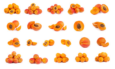 Image showing set of ripe apricots with a half