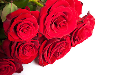 Image showing Three fresh red roses over white background