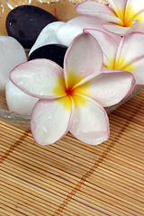 Image showing frangipane flower with pebble