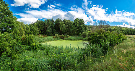 Image showing Panorama of summer morning lake