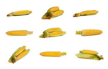 Image showing set of uncooked corn on the cob