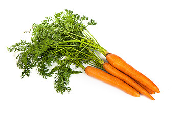 Image showing Bunch of fresh carrot isolated on white