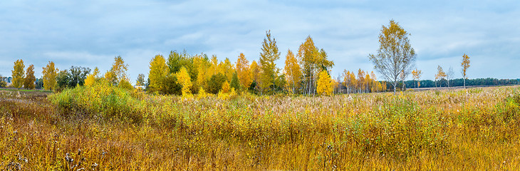 Image showing Autumn forest panorama