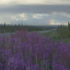 Image showing The beauty of Alaskan summer