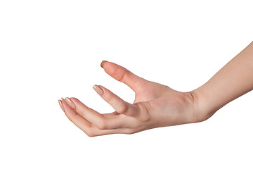 Image showing Female hand reaching for something on white